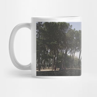 Arezzo, Tuscany, Italy Mug